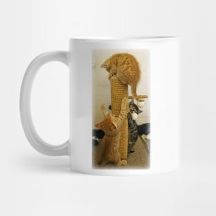 Here We Go Round The Scratchy Post Mug